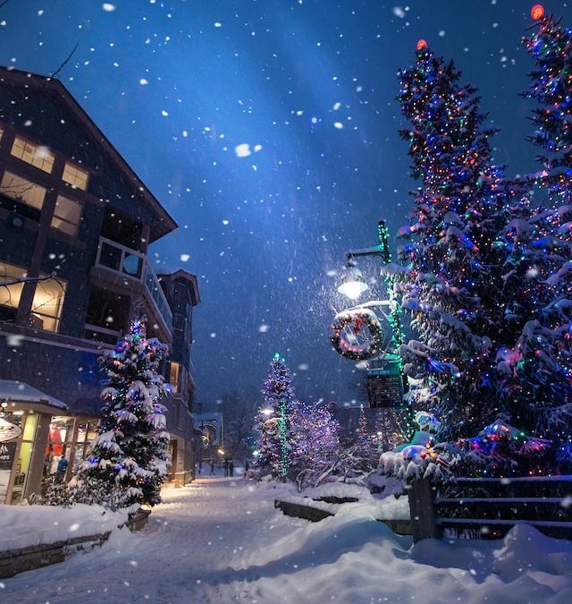julbild